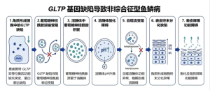 破解罕见鱼鳞病！中国团队发现新致病基因，有望实现精准治疗与健康生育